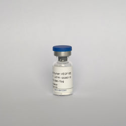 Recombinant Human VEGF165