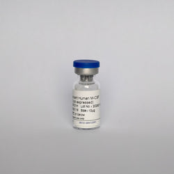 Recombinant Human M-CSF