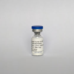 Recombinant Human β-NGF