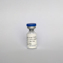 Recombinant Human TGF-β2