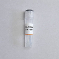 Alkaline Phosphatase Calf Intestine Conjugation Grade ammonium sulfate suspension BF-1404500