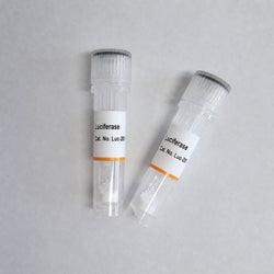 White lyophilized recombinant Luciferase Luc-201