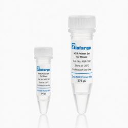Two Biofargo NSR Primer Set for Mouse reagent tubes containing 1st NSR Primer Mix, 54 µL, and 2nd NSR Primer Mix, 275 µL.