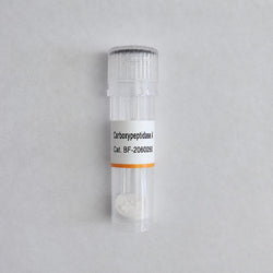 Carboxypeptidase A BF-2060050, 1 g, Biofargo research enzyme