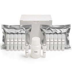 AmeriDx Oligo-Antibody Conjugation Kit with activation reagents, conjugation buffer, oligo and IgG controls for five conjugations