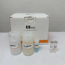 Micro BCA Protein Assay Kit