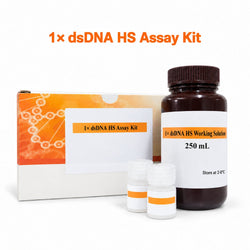 1× dsDNA HS Assay Kit box, 250 mL working solution bottle and two small vials on a white background
