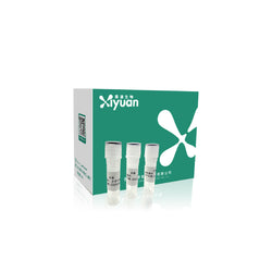 Transfection Reagent