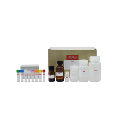 eccDNA Purification and Amplification Kit (Embedding Method)