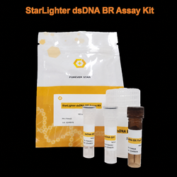 StarLighter dsDNA BR Assay Kit for 2–1,000 ng quantification using a Qubit fluorometer or microplate reader