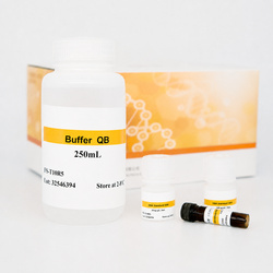 StarLighter dsDNA HS Assay Kit for 0.1–120 ng DNA quantification using Qubit or a fluorescence microplate reader