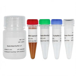 Hieff NGS™ mRNA Isolation Master Kit V2