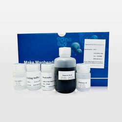Mag Beads Viral DNA RNA Extraction Kits For Scientific Research Use