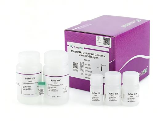 Nucleic Acid Extraction & Purification