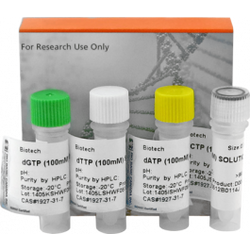 dNTP Set (100mM each)