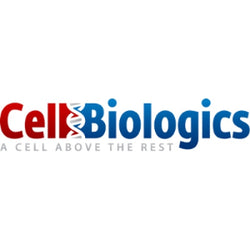 GFP Expressing C57BL/6 Mouse Primary Lung Microvascular Endothelial Cells
