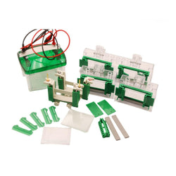 Mini four gel vertical electrophoresis tank with accessories