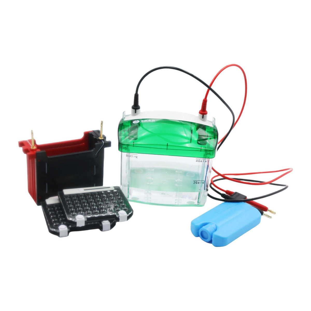 Mini two-gel wet transfer system with buffer tank, transfer cassettes, filter pads and blue ice box