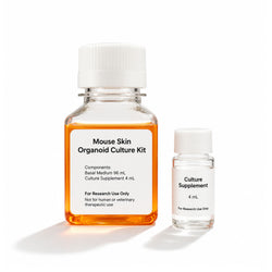 XR Mouse Skin Organoid Culture Kit serum-free organoid culture medium
