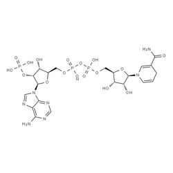 NADPH 99.5% CAS 53-57-6 200 mg research reagent