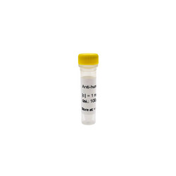 Exendin 4 rabbit polyclonal antibody