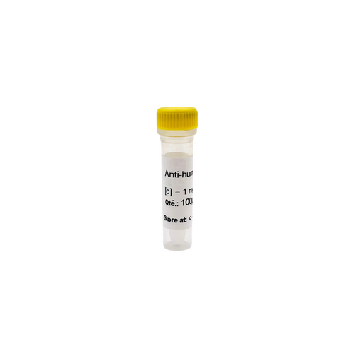 E.coli rabbit polyclonal antibody