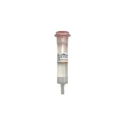 GST 4FF (Pre-Packed Gravity Column),1mL