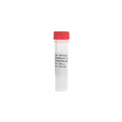 HotStart Taq DNA Polymerase(chemical mod