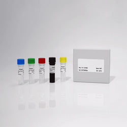 Fluorescent RT-LAMP Kit