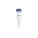 Taq DNA Polymerase for PCR Amplification