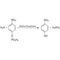 pNPP-Na (para-Nitrophenylphosphate)