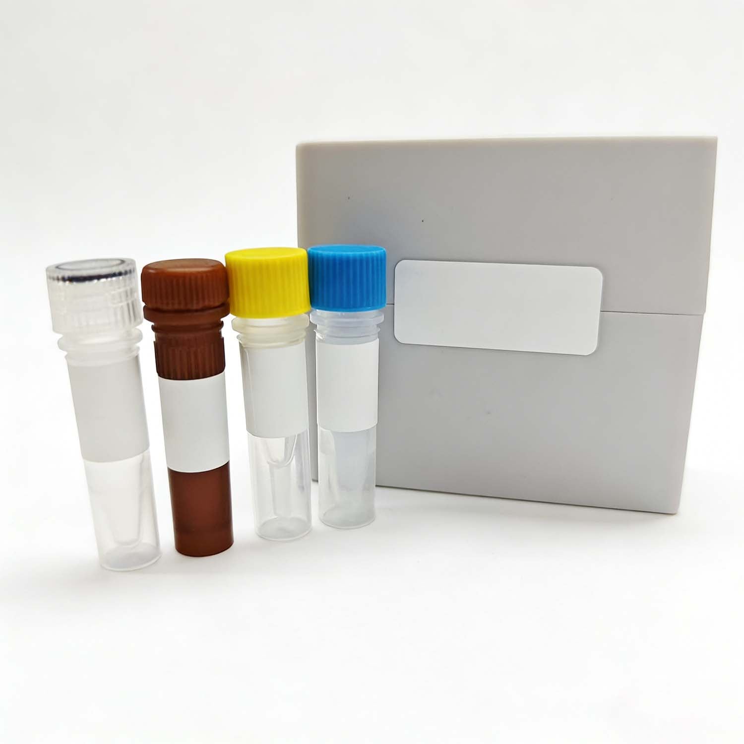 Streptococcus dysgalactiae Probe qPCR Kit - Biofargo