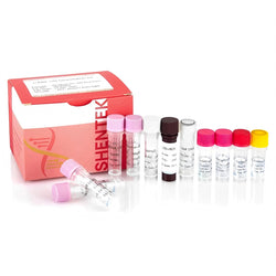 rcAAV-2/N Quantitation Kit SHENTEK®