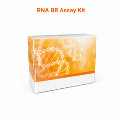`RNA BR Assay Kit orange-and-white product box on a white background`