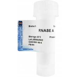 Ribonuclease A for molecular biology