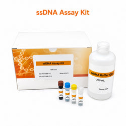 ssDNA Assay Kit box with buffer bottle and four reagent vials on a white background`