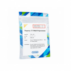 TOYOBO Thermo T7 RNA Polymerase (TRL-201, 7,500 U) laboratory reagent package containing 50 U/µL enzyme and 10× reaction buffer.
