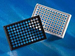 96 wells flat bottom clear, black polystyrene plate (Ideal for fluorescent assays), Tissue Culture (TC)-treated surface, pkg of (individually wrapped), sterile, lid - Biofargo - 