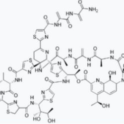 Thiostrepton - Biofargo - 