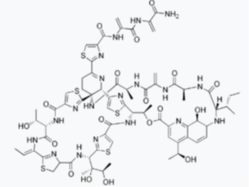 Thiostrepton - Biofargo - 