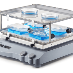 Double LCD Screen-Numerical Control Circular Shakers-Dlab SK-O330-Pro - Biofargo - 
