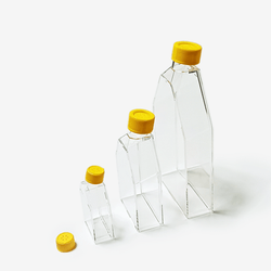 T175 Cell Culture Flasks - Vented Cap - TC Treated - Biofargo - 