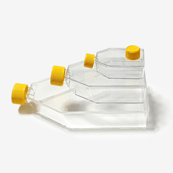 T175 Cell Culture Flasks - Vented Cap - TC Treated - Biofargo - 