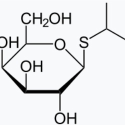 IPTG: Isopropyl β-D-thiogalactoside C<sub>9</sub>H<sub>18</sub>O<sub>5</sub>S - Biofargo - 