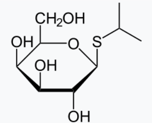IPTG: Isopropyl β-D-thiogalactoside C<sub>9</sub>H<sub>18</sub>O<sub>5</sub>S - Biofargo - 