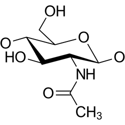 GalNAc: N-Acetyl-D-galactosamine - Biofargo - 