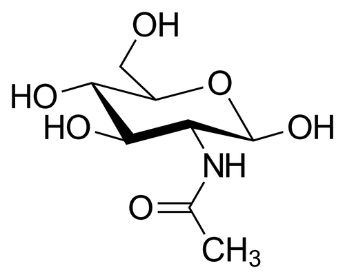 GalNAc: N-Acetyl-D-galactosamine - Biofargo - 