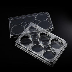 Cell Culture Plates 6-12--24-48-96 Well Gamma  sterilized-Biologix - Biofargo - 