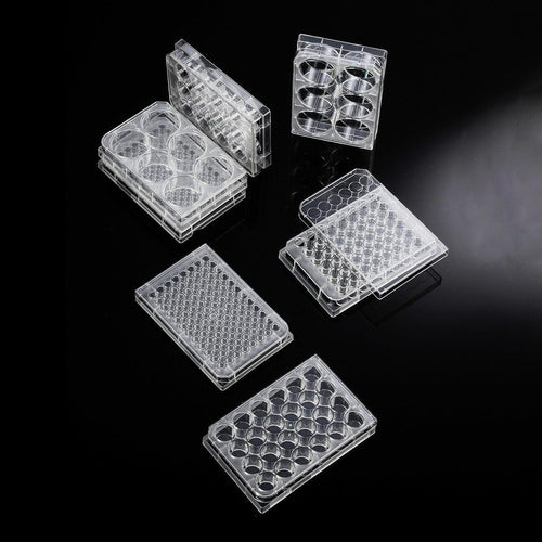 Cell Culture Plates 6-12--24-48-96 Well Gamma  sterilized-Biologix - Biofargo - 