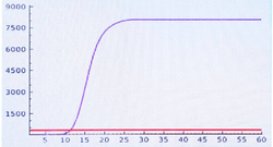 Colorimetric LAMP Kit - Biofargo - 